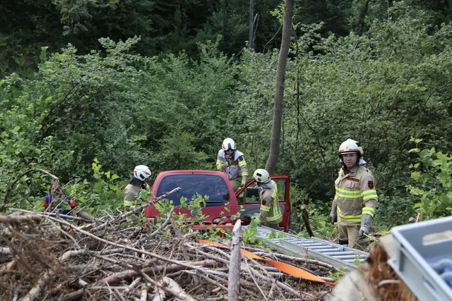 Foto: Martina Schratzberger