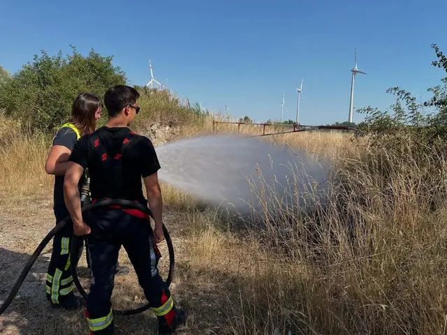 Vor einigen Tagen übte die Feuerwehr Parndorf noch einen Flurbrand, am Samstag rückte zu einem richtigen Einsatz aus. | Foto: Feuerwehr Parndorf