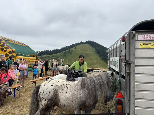 Für die kleinen Gäste gab es gratis Ponyreiten. | Foto: MeinBezirk.at