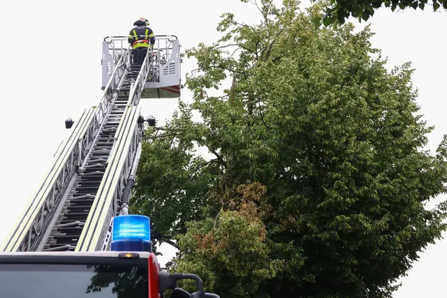 Die Einsatzkräfte entfernten die Äste aus dem Baum.  | Foto: laumat.at/Matthias Lauber