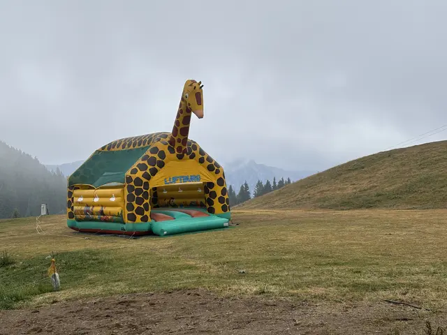 Eine große Hüpfburg sorgte bei den Kindern für Begeisterung. | Foto: MeinBezirk.at
