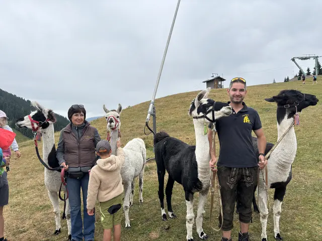 Eine Runde mit Lamas spazieren? Bei der Eröffnung kein Problem. | Foto: MeinBezirk.at
