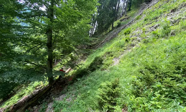 Foto: ZOOM.TIROL