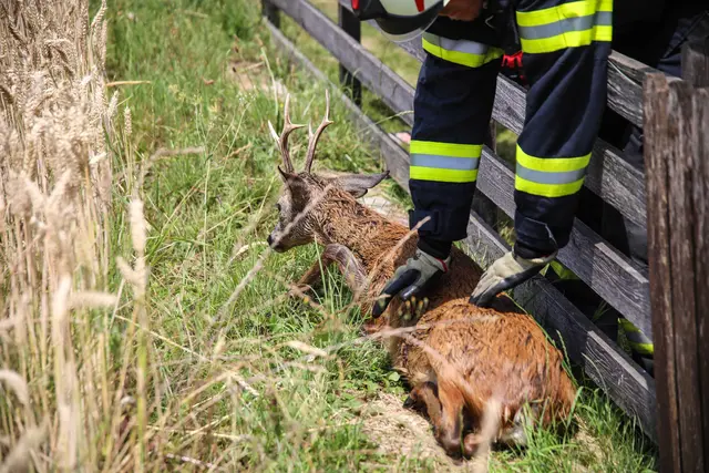Foto: laumat/Christian Schürrer