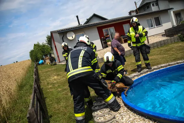 Foto: laumat/Christian Schürrer