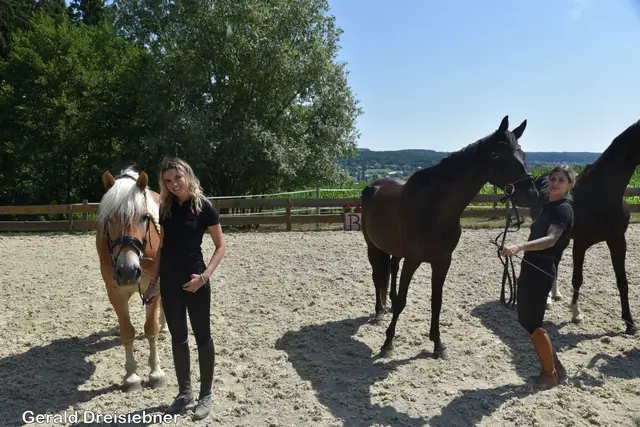 Foto: Gerald Dreisiebner