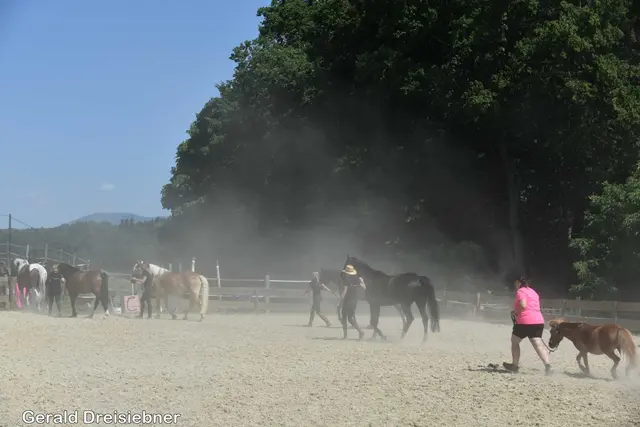 Foto: Gerald Dreisiebner