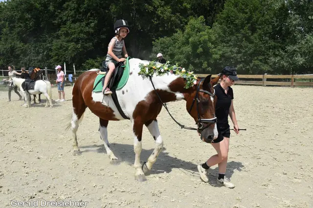 Foto: Gerald Dreisiebner