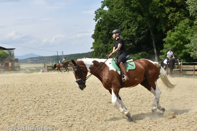 Foto: Gerald Dreisiebner