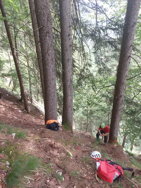 Der 66-Jährige brach früh morgens alleine zu einer Wanderung in Richtung Zwerloch auf. Als der Mann zur vereinbarten Zeit nicht zuhause war, verständigten die Angehörigen Bergrettung und Alpinpolizei. | Foto: ZOOM.TIROL
