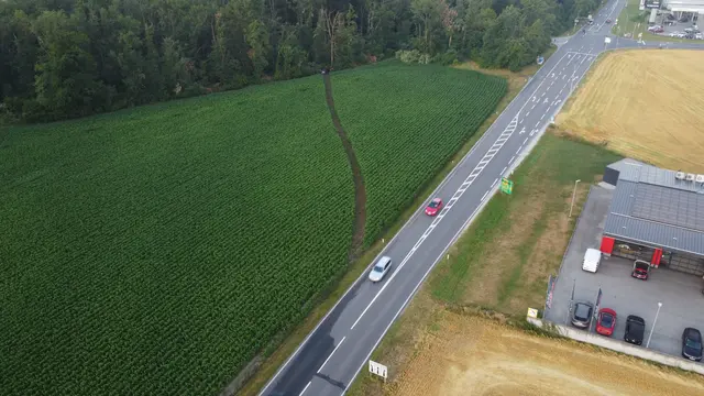 Die Fahrt des Unfalllenkers quer durchs Maisfeld endete schließlich am Waldesrand.