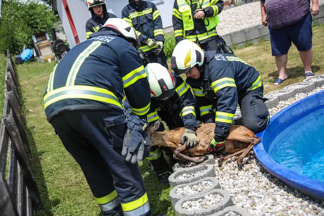 Foto: laumat/Christian Schürrer