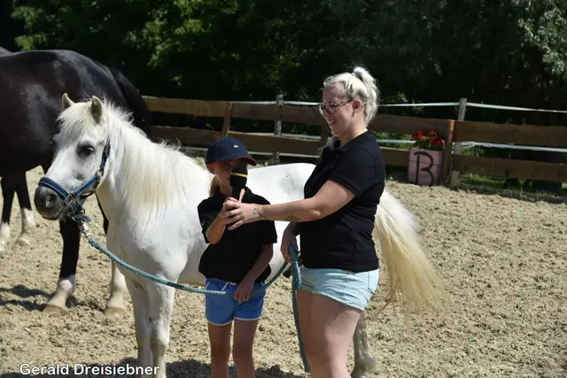 Foto: Gerald Dreisiebner