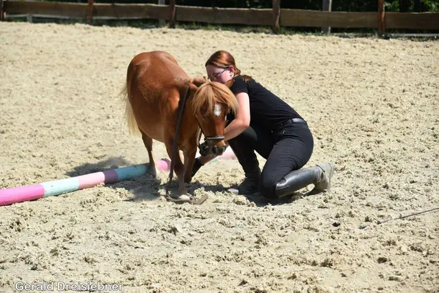 Foto: Gerald Dreisiebner