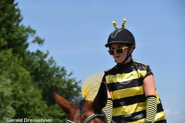 Foto: Gerald Dreisiebner