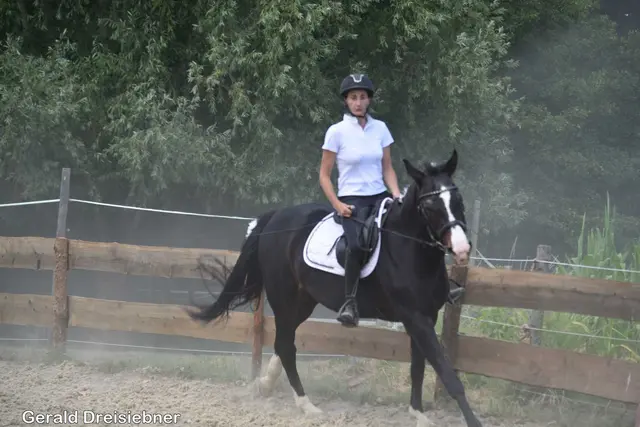 Foto: Gerald Dreisiebner