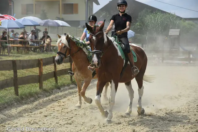 Foto: Gerald Dreisiebner