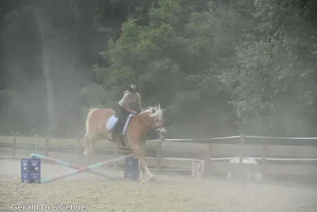 Foto: Gerald Dreisiebner