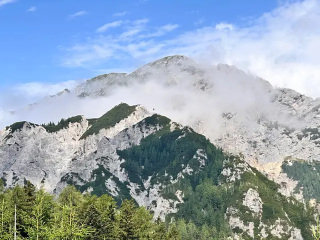 Auf der Mala Koschuta ist gestern ein Waldbrand ausgebrochen. | Foto: BFKdo Völkermarkt