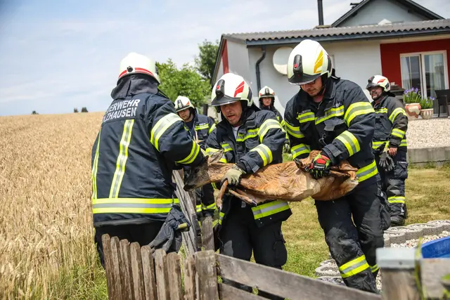 Foto: laumat/Christian Schürrer