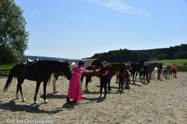 Foto: Gerald Dreisiebner