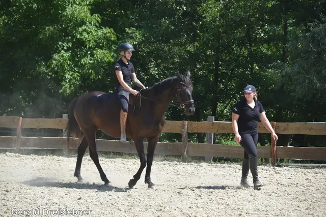 Foto: Gerald Dreisiebner