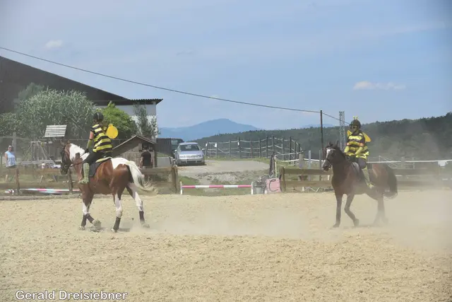 Foto: Gerald Dreisiebner