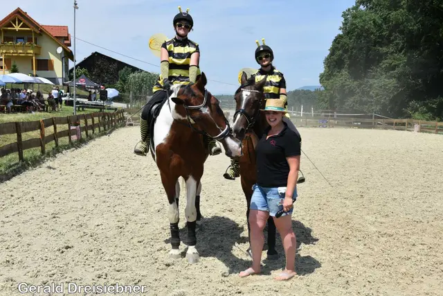 Foto: Gerald Dreisiebner