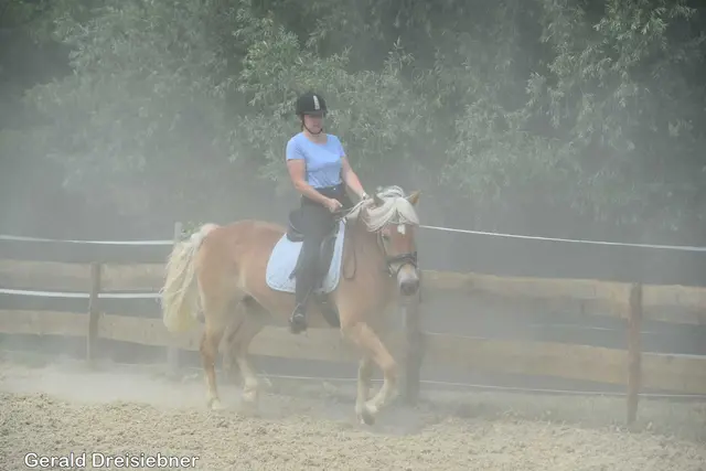 Foto: Gerald Dreisiebner