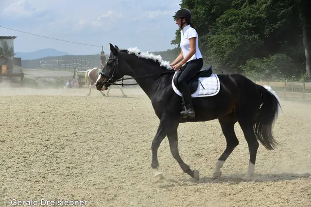 Foto: Gerald Dreisiebner