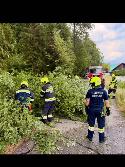Die FF Köppling war am Sonntagnachmittag im Einsatz. | Foto: FF Köppling