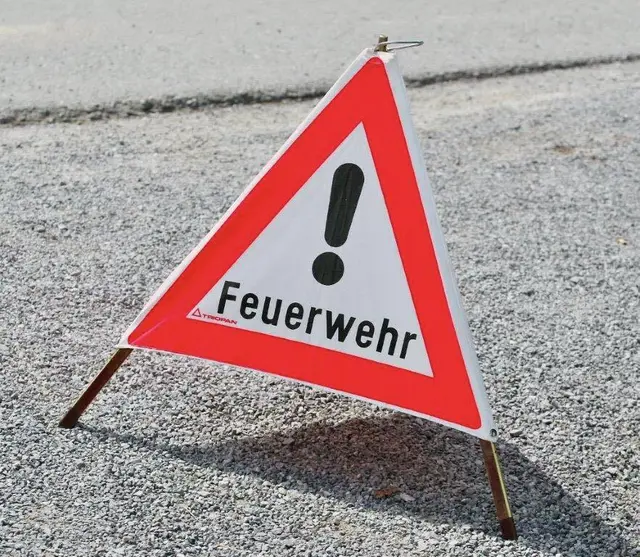 Die Feuerwehren aus Pama, Siegendorf und Weiden am See waren im Löscheinsatz. | Foto: Feuerwehr Pama