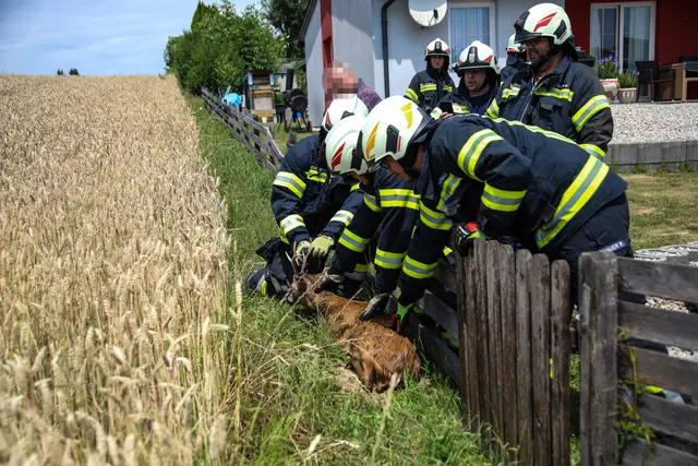 Foto: laumat/Christian Schürrer