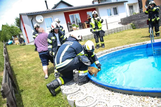 Foto: laumat/Christian Schürrer