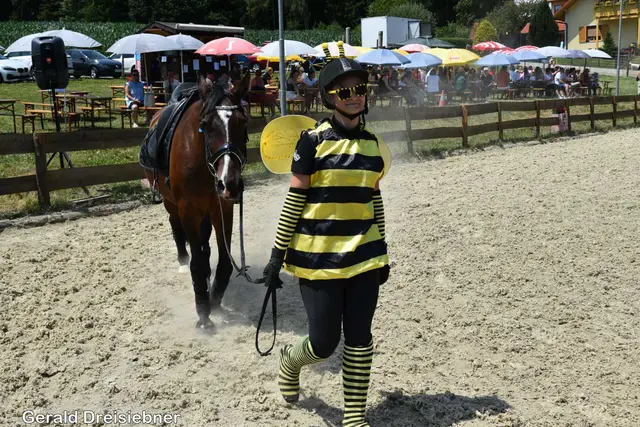 Foto: Gerald Dreisiebner