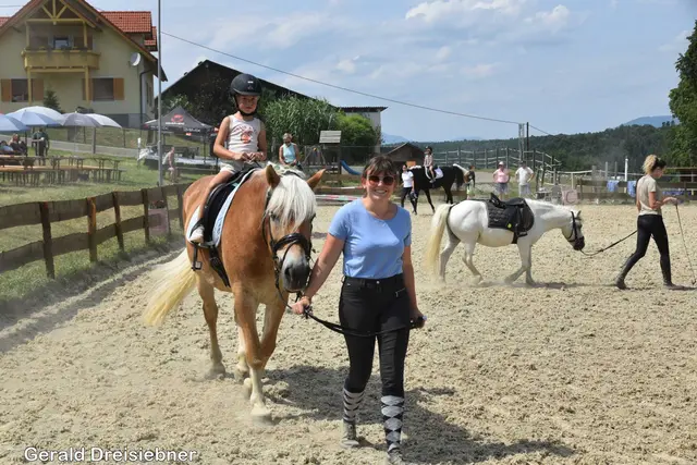 Foto: Gerald Dreisiebner