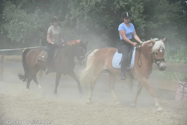 Foto: Gerald Dreisiebner