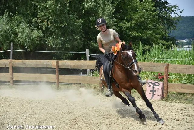 Foto: Gerald Dreisiebner