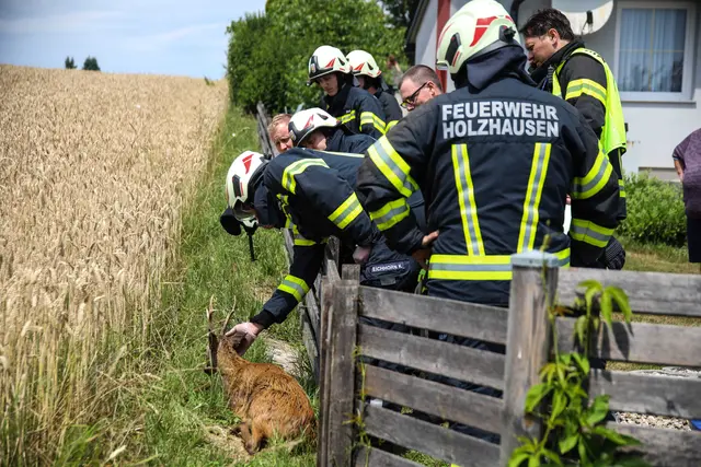 Foto: laumat/Christian Schürrer