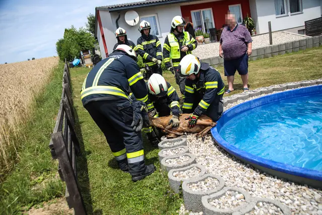 Foto: laumat/Christian Schürrer