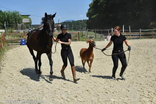 Foto: Gerald Dreisiebner