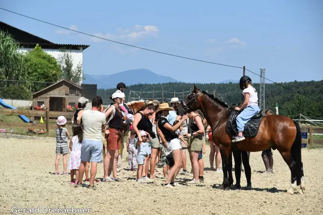 Foto: Gerald Dreisiebner