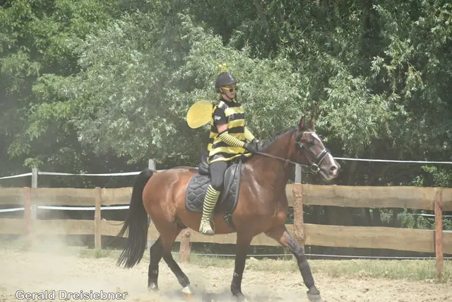 Foto: Gerald Dreisiebner