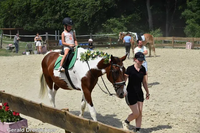 Foto: Gerald Dreisiebner