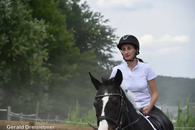 Foto: Gerald Dreisiebner