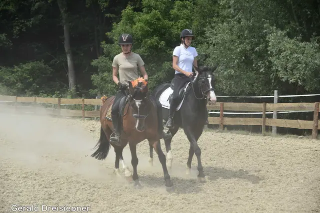 Foto: Gerald Dreisiebner