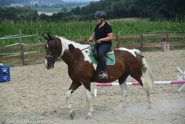 Foto: Gerald Dreisiebner