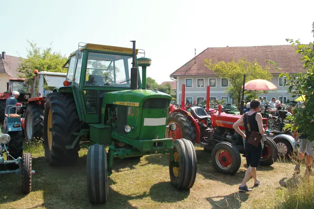 Foto: MeinBezirk Linz-Land