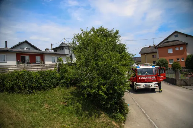 Foto: laumat/Christian Schürrer