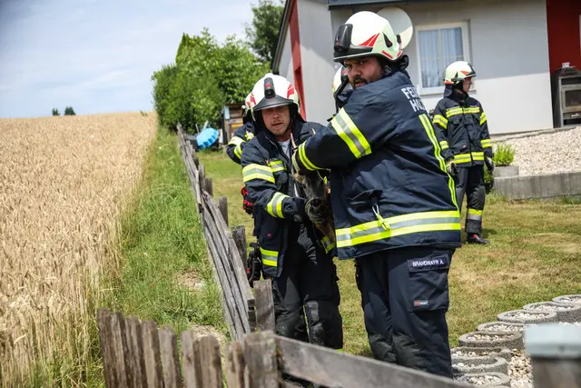 Foto: laumat/Christian Schürrer